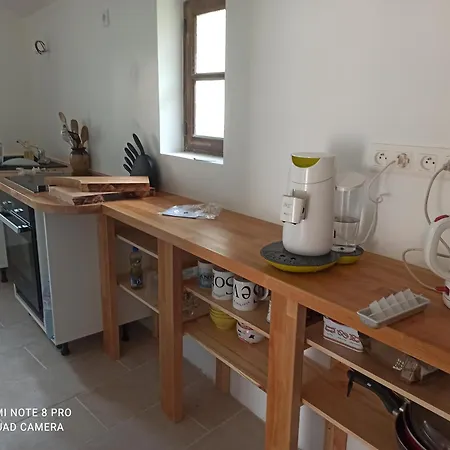 L'orée De La Forêt