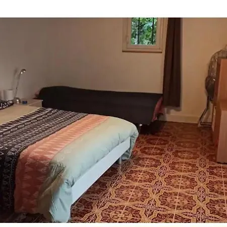 L'oree De La Foret * Villeneuve-en-Perseigne