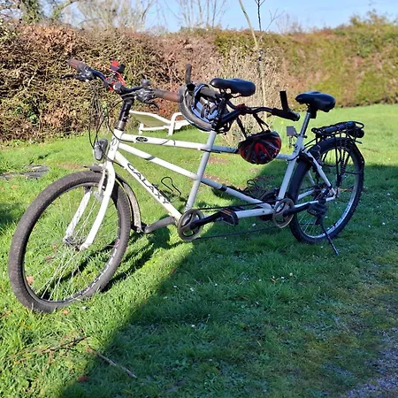 Hébergement de vacances L'orée De La Forêt